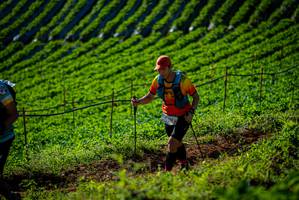 BIB: 
                            <button type="button" onclick="openModal(19160660)" class="btn btn-primary btn-sm float-right btn-popup" data-toggle="modal" data-target=".modal-high-quality">
                        <i class="fas fa-shopping-cart"></i> Add to Cart
                    </button>
                                            <button type="button" onclick="isThisMe(19160660, true)" class="btn btn-success btn-sm float-right btn-popup btn-isme hidden" data-toggle="tooltip" data-placement="bottom" title="นี่คือรูปของคุณใช่ไหม คลิกที่นี่เพื่อเอาเข้าอัลบั้ม">
                        <i class="fas fa-plus"></i> Add to album
                    </button>
                    <button type="button" onclick="isThisMe(19160660, false)" class="btn btn-warning btn-sm float-right btn-popup btn-isnotme hidden">
                        <i class="fas fa-ban"></i> Remove from album
                    </button>